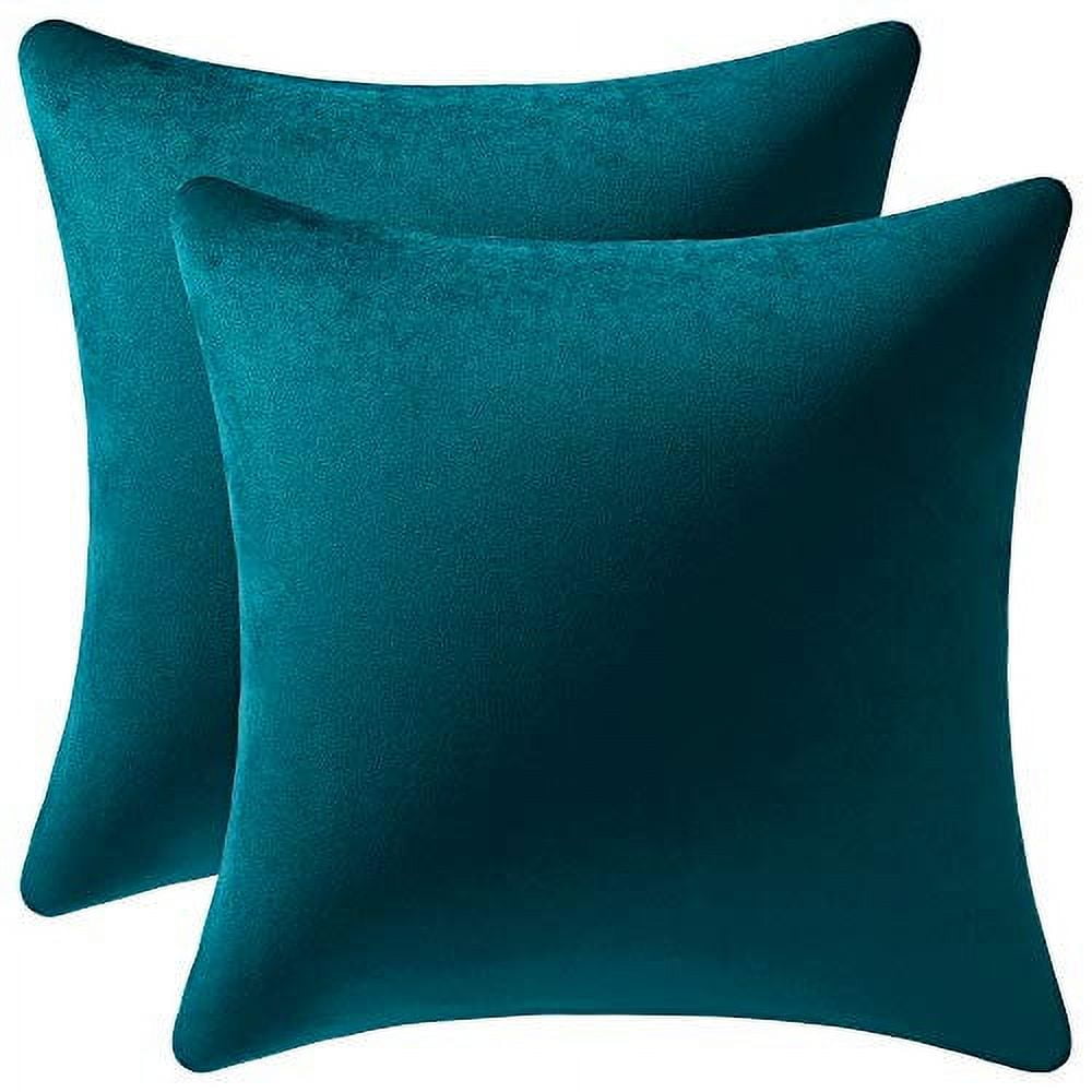 DEZENE Throw Pillow Cases 20x20 Teal: 2 Pack Cozy Soft Velvet Square Decorative Pillow Covers for Farmhouse Home Decor