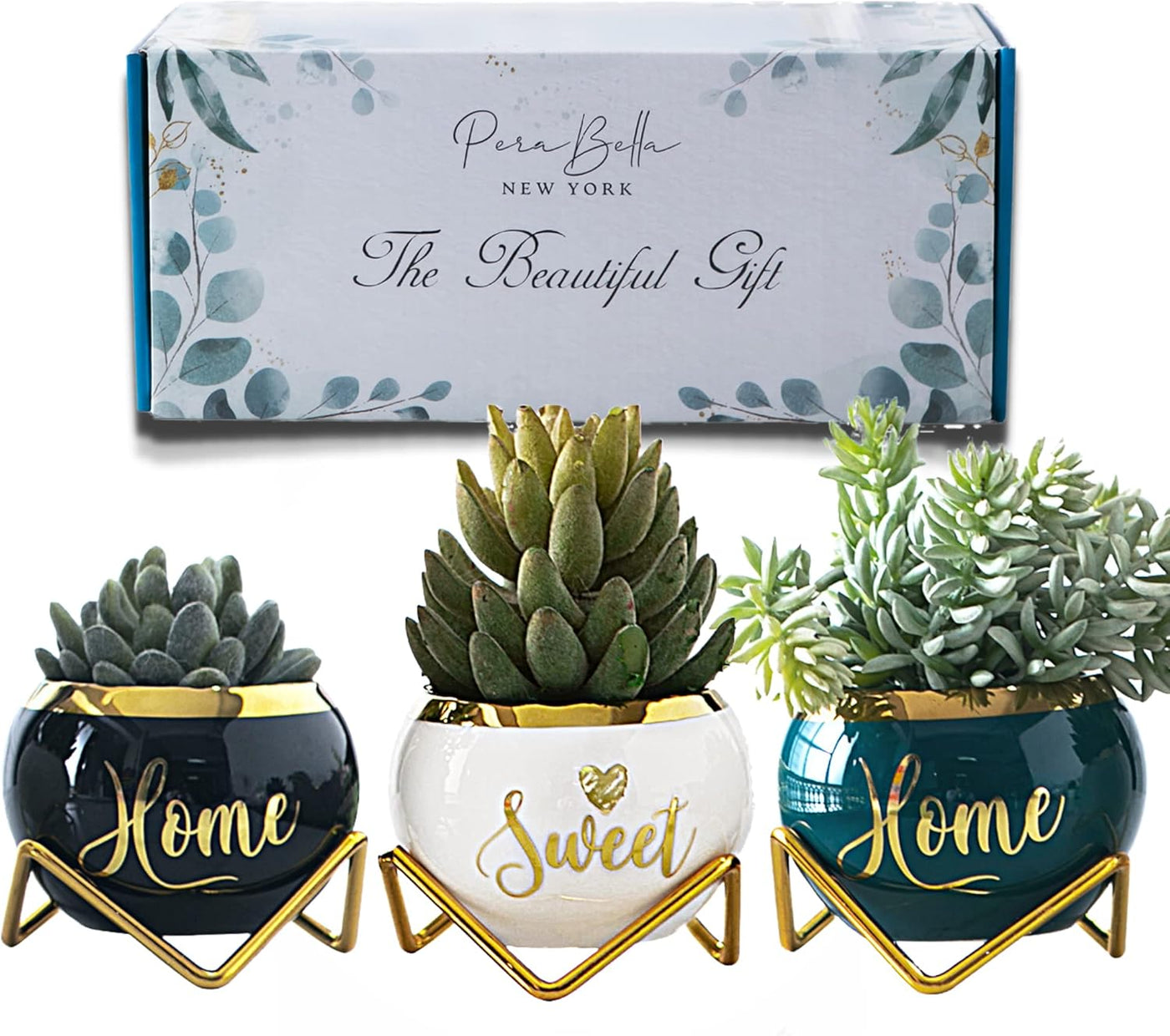 House Warming Gifts New Home, Housewarming Gifts for New House, Best Housewarming Gifts, Home Essentials for New Home Gift Ideas, Living Room Home Decor Farmhouse | 3 Succulent Pots for Plant Lovers