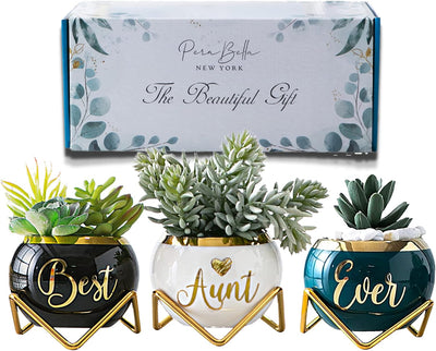 House Warming Gifts New Home, Housewarming Gifts for New House, Best Housewarming Gifts, Home Essentials for New Home Gift Ideas, Living Room Home Decor Farmhouse | 3 Succulent Pots for Plant Lovers