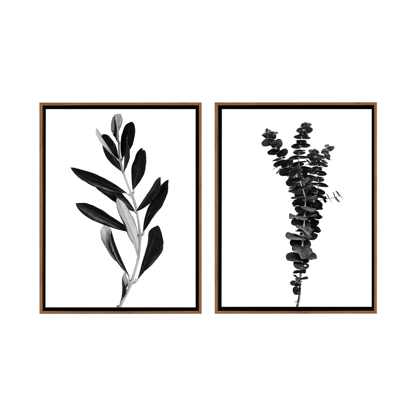 Stratton Home Decor Olive and Eucalyptus Branches Framed Canvas Wall Art