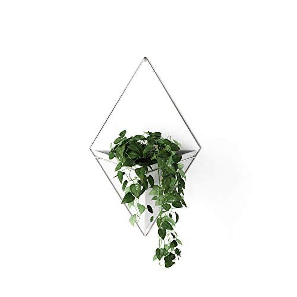 Umbra Trigg Hanging Planter .. Vase & Geometric Wall .. Decor Ceramic Container - .. Great For Succulent Plants, .. Air Plant, Mini Cactus, .. Faux Plants and More, .. Large, White/Nickel