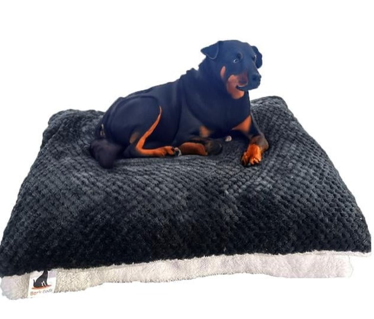 pet beds for dog crates